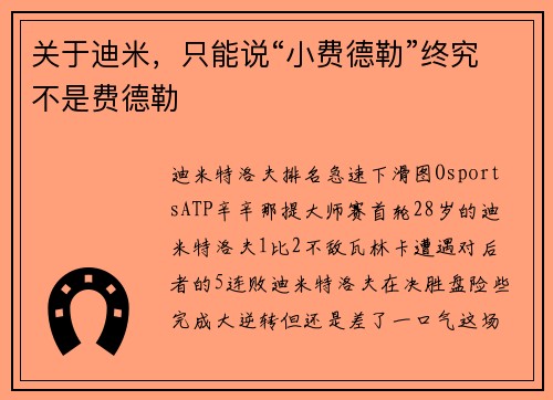 关于迪米，只能说“小费德勒”终究不是费德勒