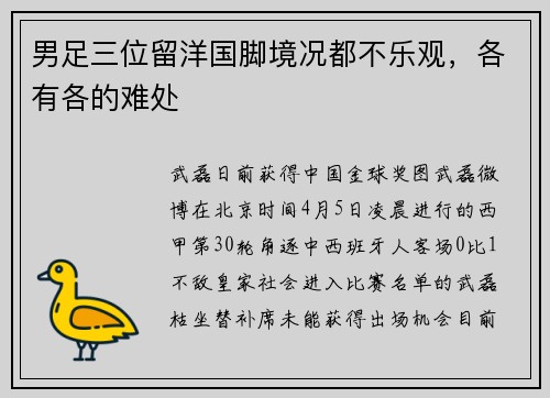 男足三位留洋国脚境况都不乐观，各有各的难处
